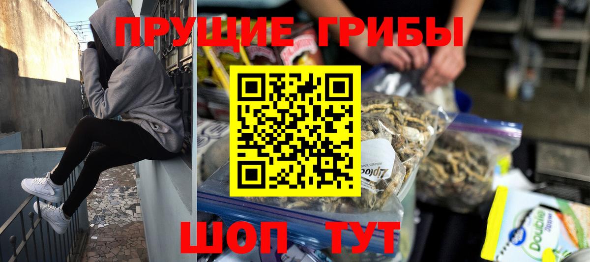 купить   Вход с VPN  Новокузнецк  Псилоцибиновые грибы мухоморы 
