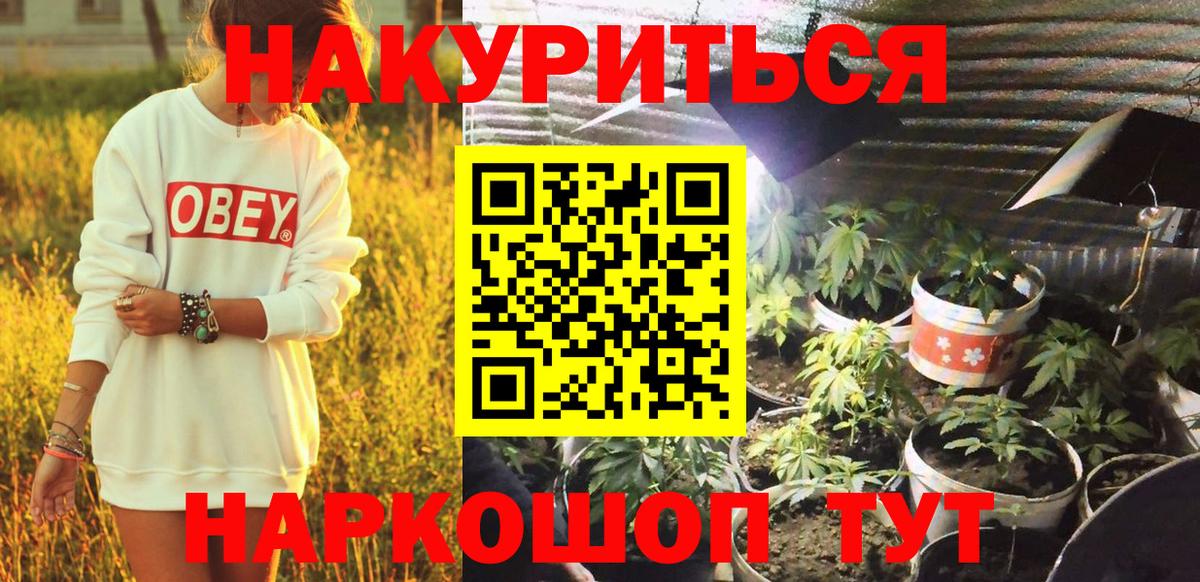 Новокузнецк  Бошки марихуана марихуана  Вход с VPN  Каннабис OG Kush  Шишки марихуана White Widow 